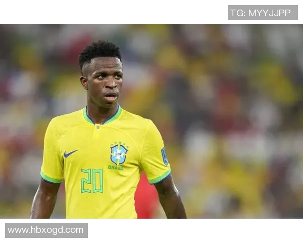 南美洲杯历史最佳球星盘点及其代表性表现解析