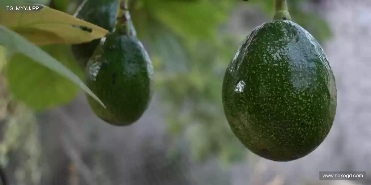 🎁 周边好物,解锁你的运动 DNA!